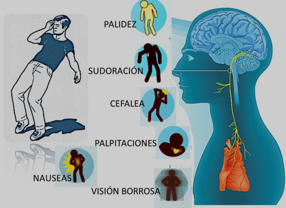 Sincope causas y tratamientos